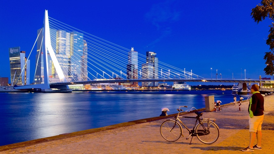 Erasmusbrücke das einen bei Nacht, Fahrradfahren und Brücke