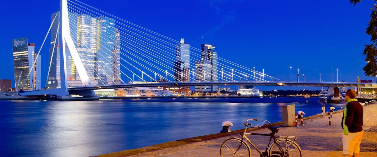 Erasmus Bridge showing a bridge, night scenes and modern architecture