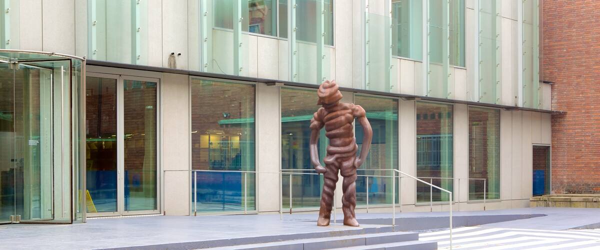 Museo Boijmans Van Beuningen mostrando escenas cotidianas y arte al aire libre