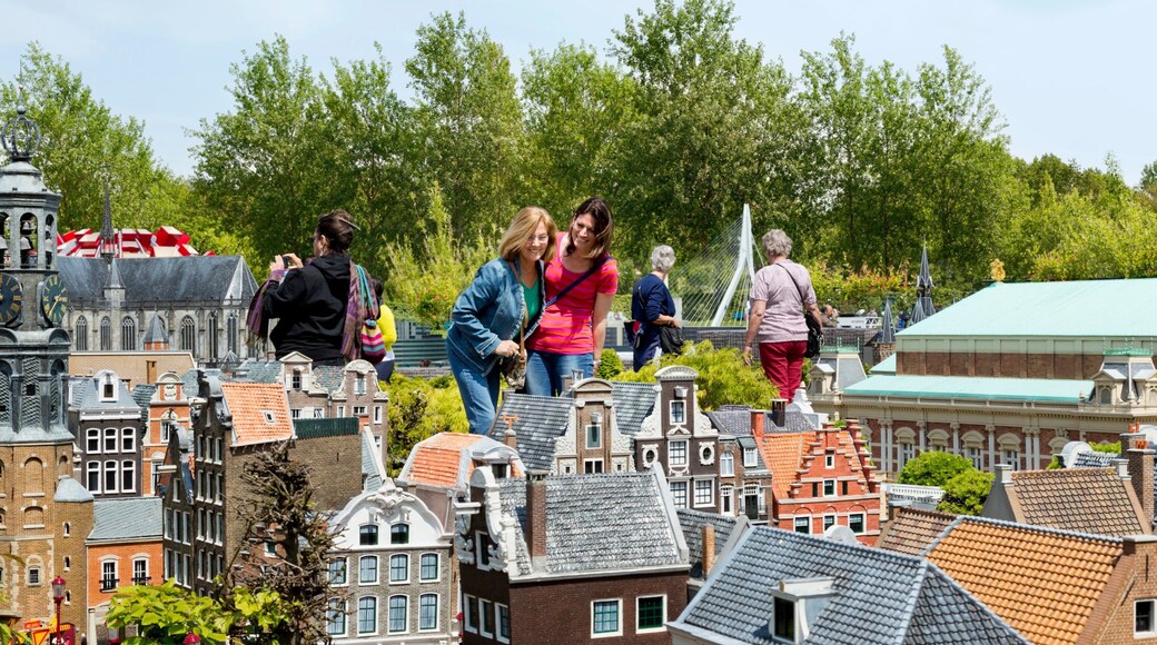 マドローダム 及び 少数の人々