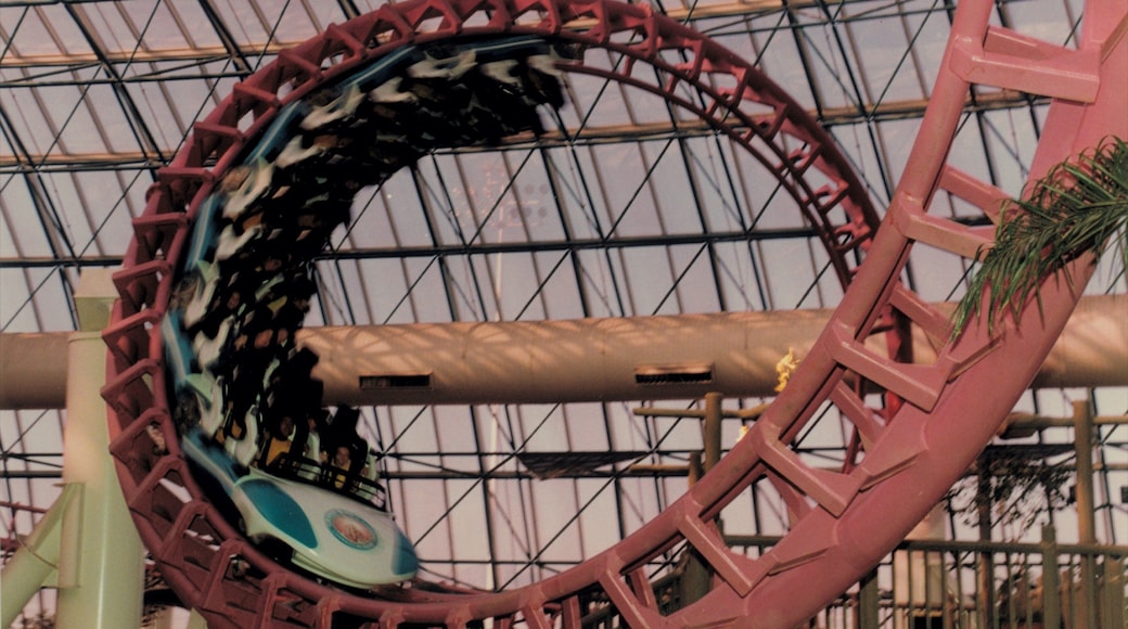 Adventuredome temapark fasiliteter samt karusell