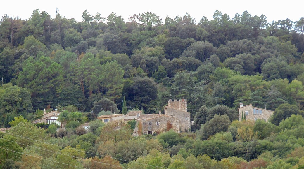 Veïnat dels Sants Metges (Sant Julià de Ramis)