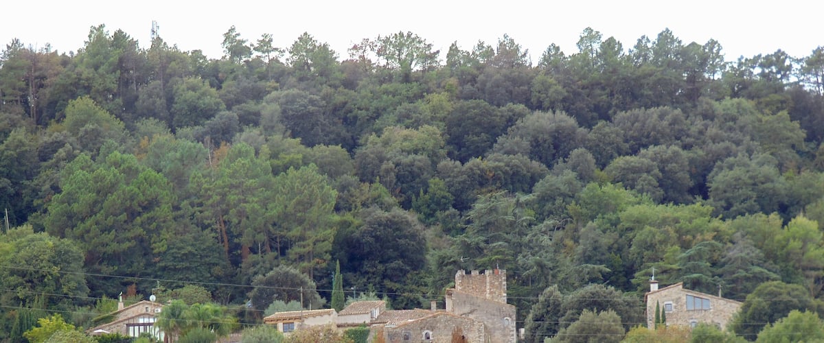 A hillside with a mix of modern and ancient stone buildings, surrounded by dense forest.