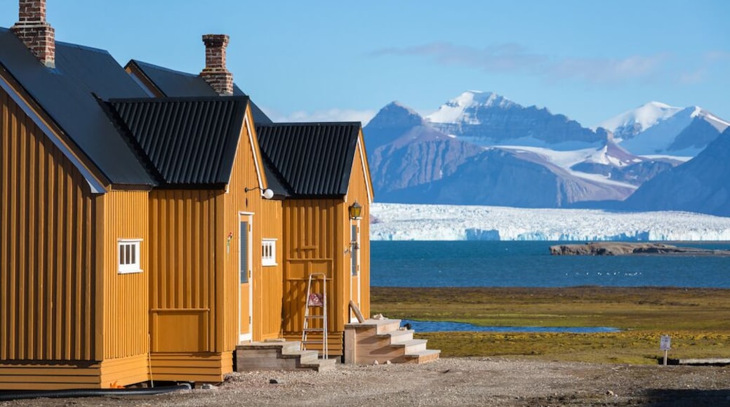 Ny Ålesund in the Kongsfjord (Kings Bay) is the world’s northernmost research settlement.