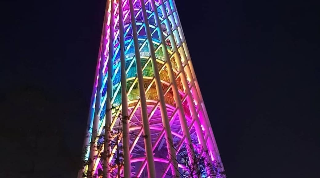 Amazing night life.... all the lights makes the city so alive ✨