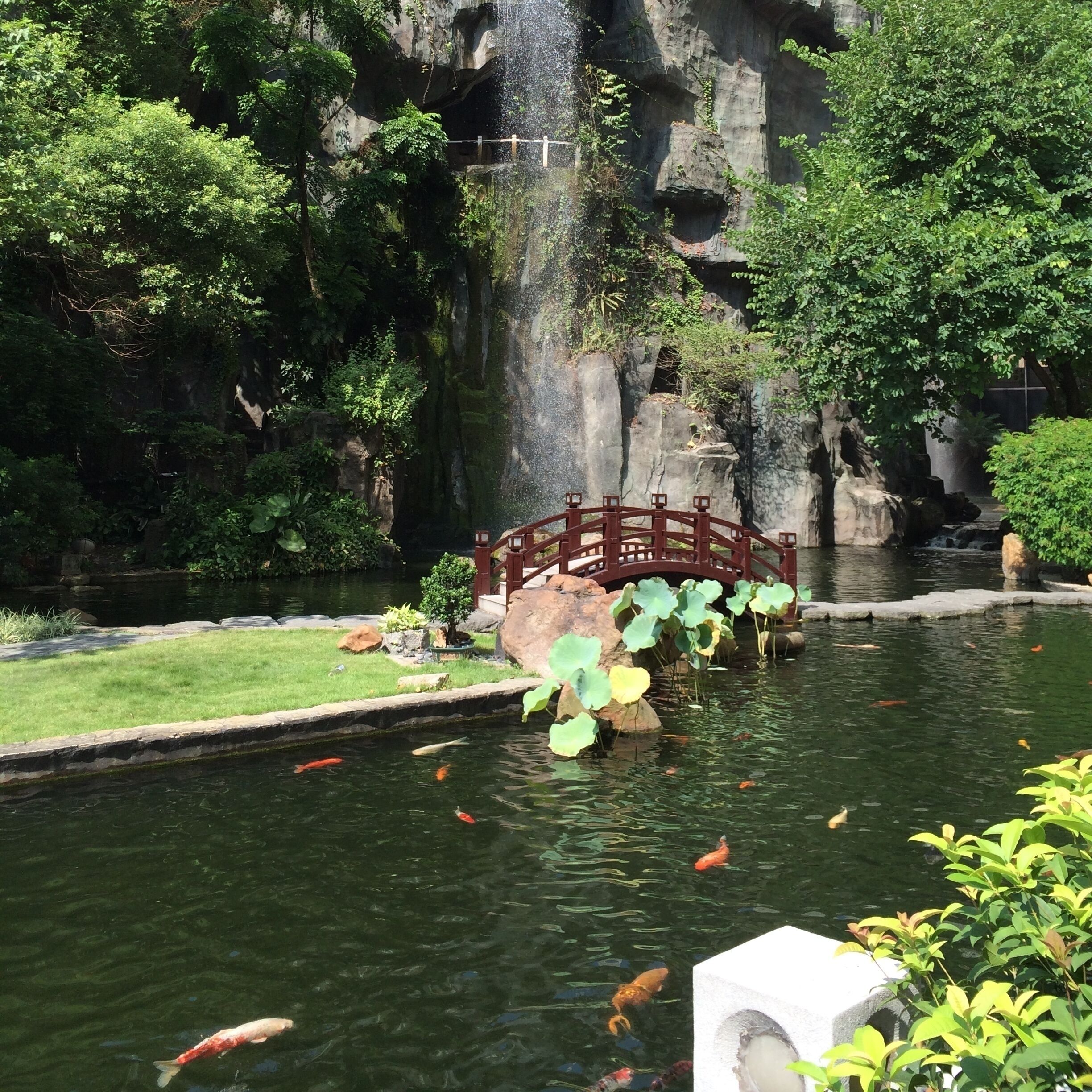 Courtyard at the hotel