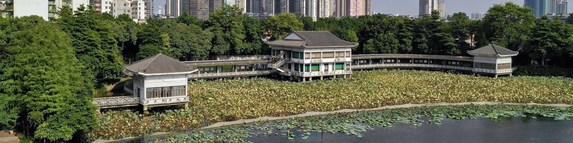 A traditional pavilion by a lotus pond with a city skyline in the background.