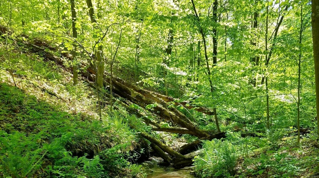 Great backpacking spot