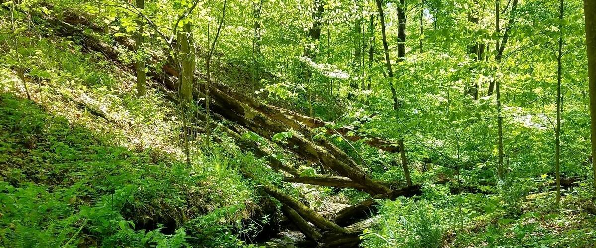 Great backpacking spot