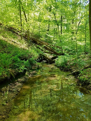 Great backpacking spot