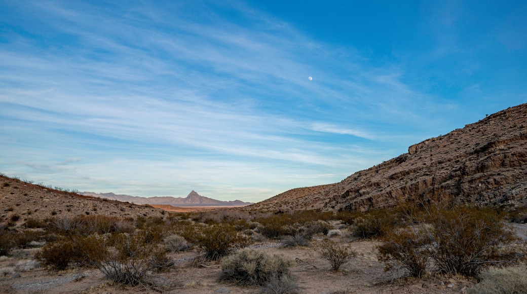 Refugio nacional de vida silvestre Desert