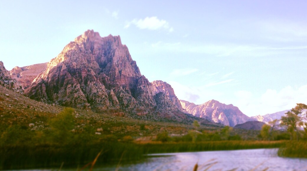 An oasis in a beautiful little part of Nevada.