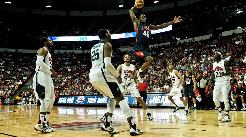 Thomas and Mack Center