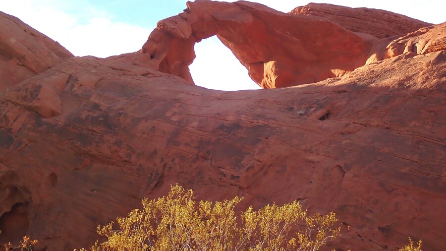 This park is incredible! If you have a small camper, pop-up, or tent, there are incredibly beautiful campgrounds. Appeared that they had water but nothing else. Dogs are allowed on hiking trails!