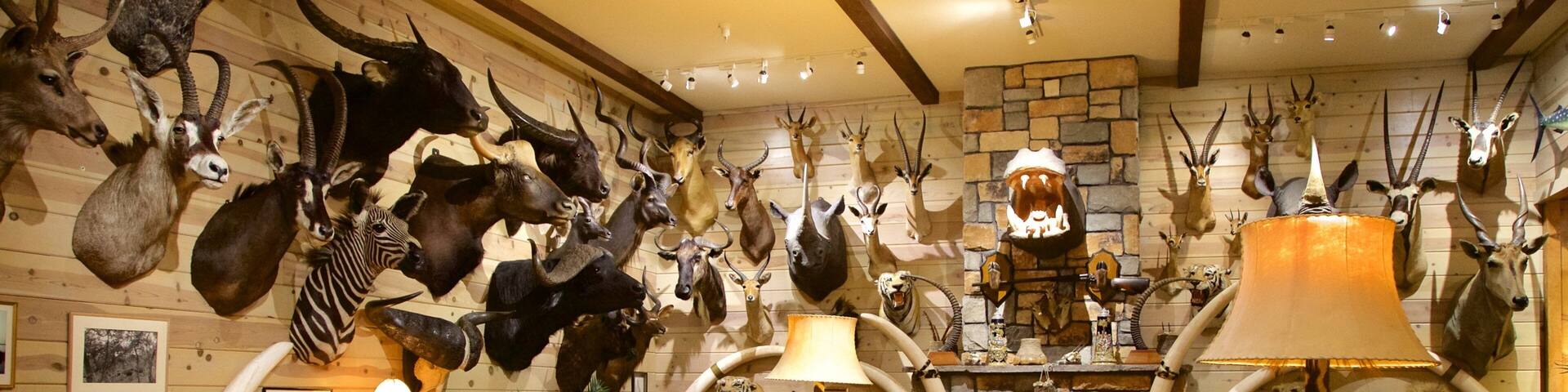 Wilbur D. May Center featuring interior views