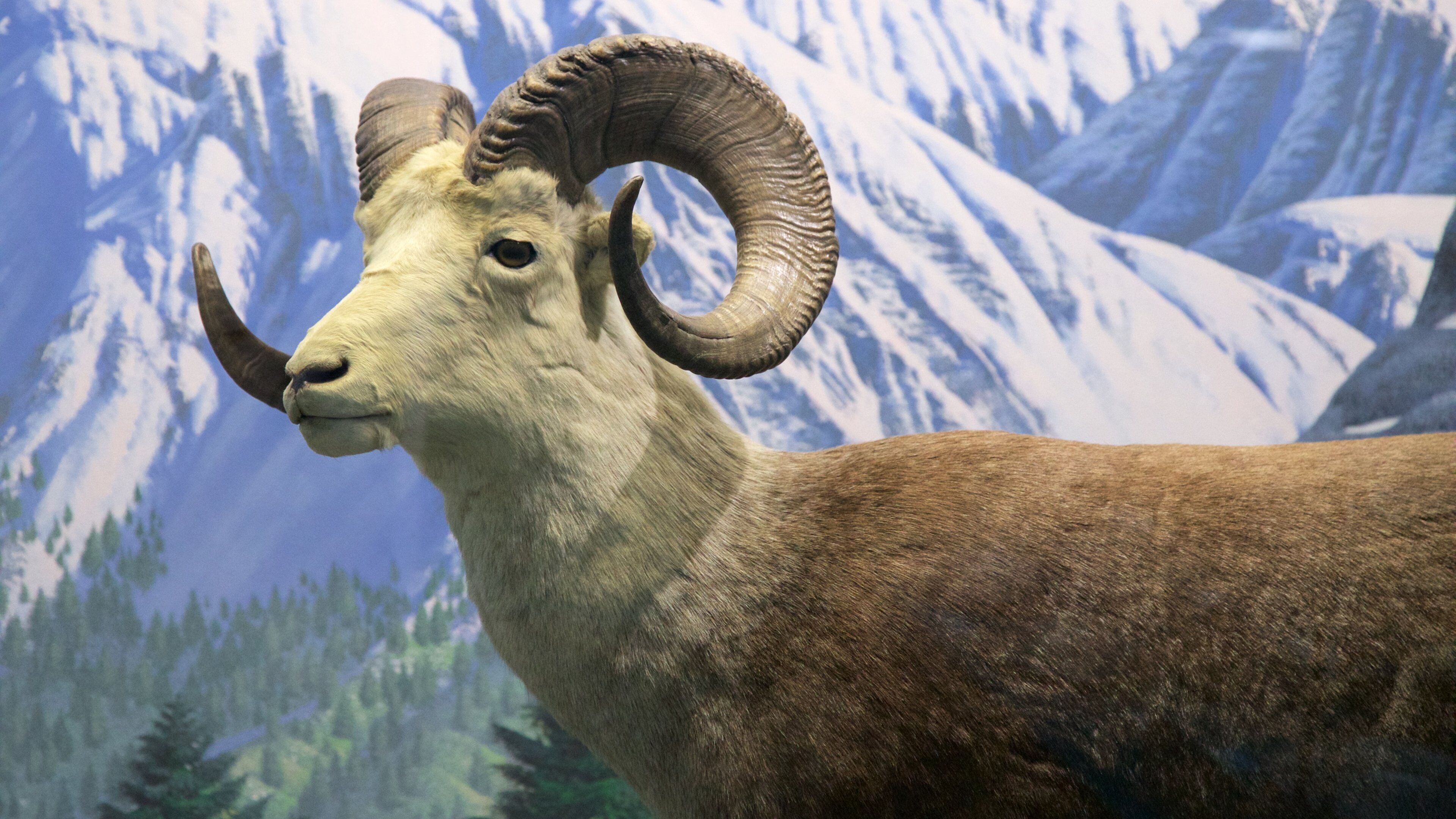 Wilbur D. May Center which includes land animals