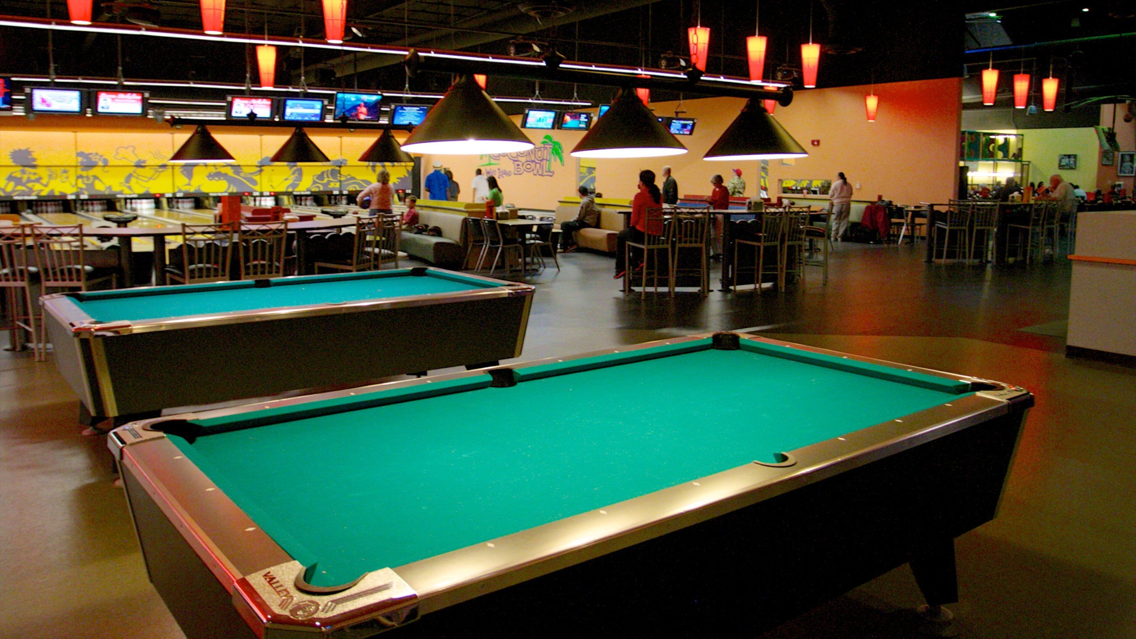 Wild Island familiepark fasiliteter samt innendørs og karusell