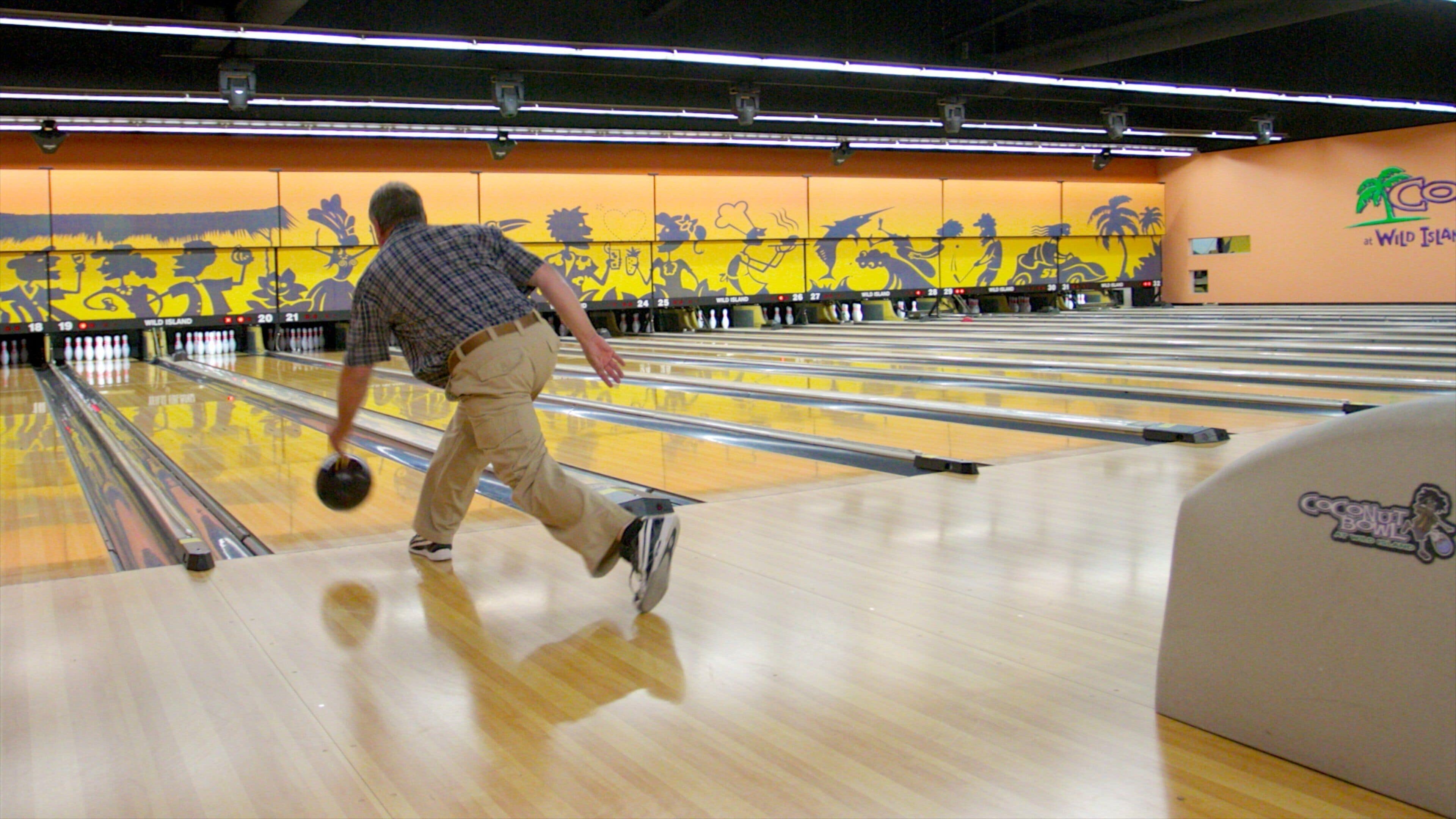 Wild Island familiepark fasiliteter samt innendørs og sportsarrangement i tillegg til en mann