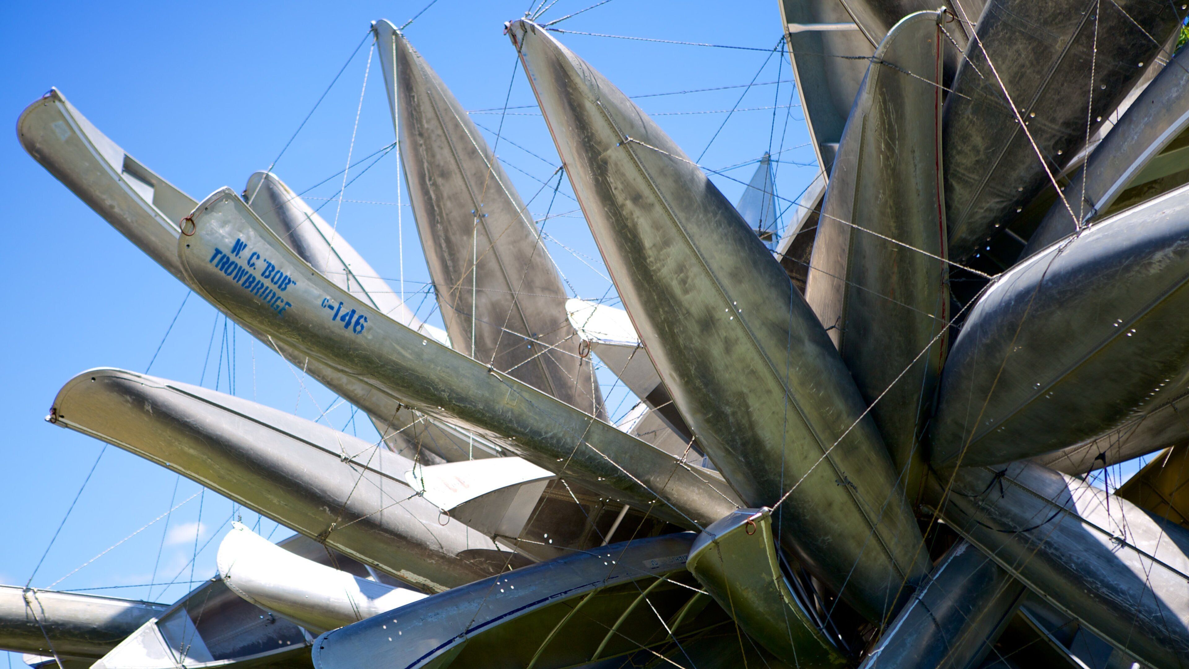 Albright - Knox Art Gallery showing outdoor art and art
