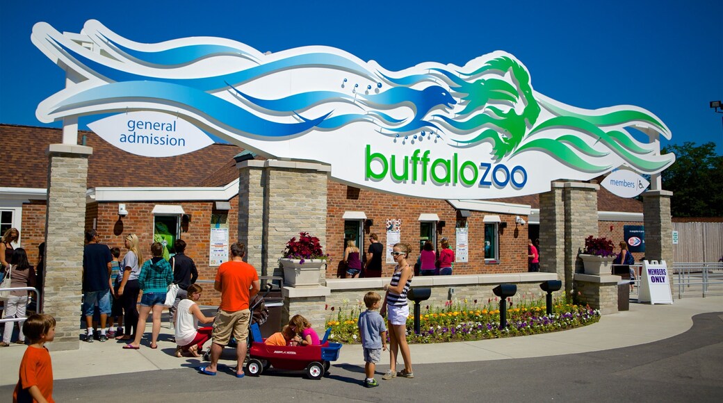 バッファロー動物園