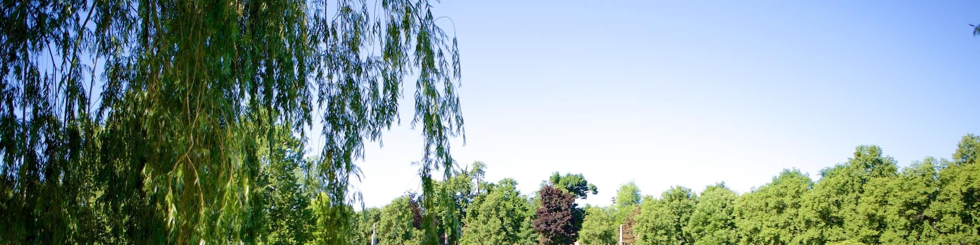 Forest Lawn Cemetery showing a lake or waterhole