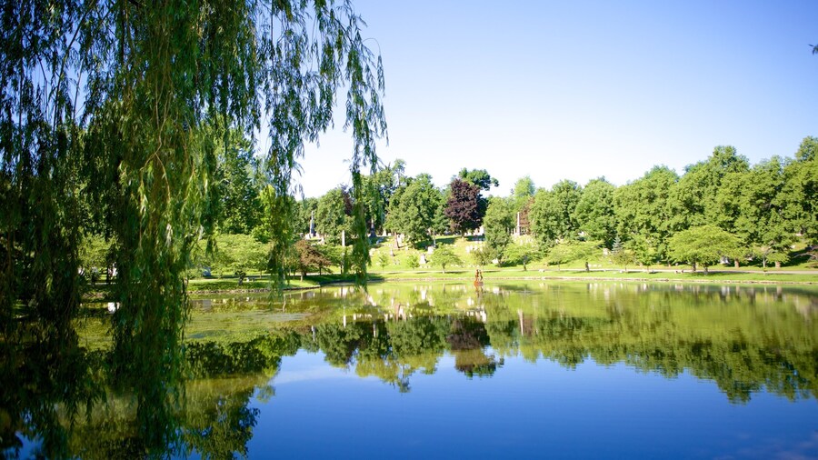 Forest Lawn Cemetery mit einem See oder Wasserstelle
