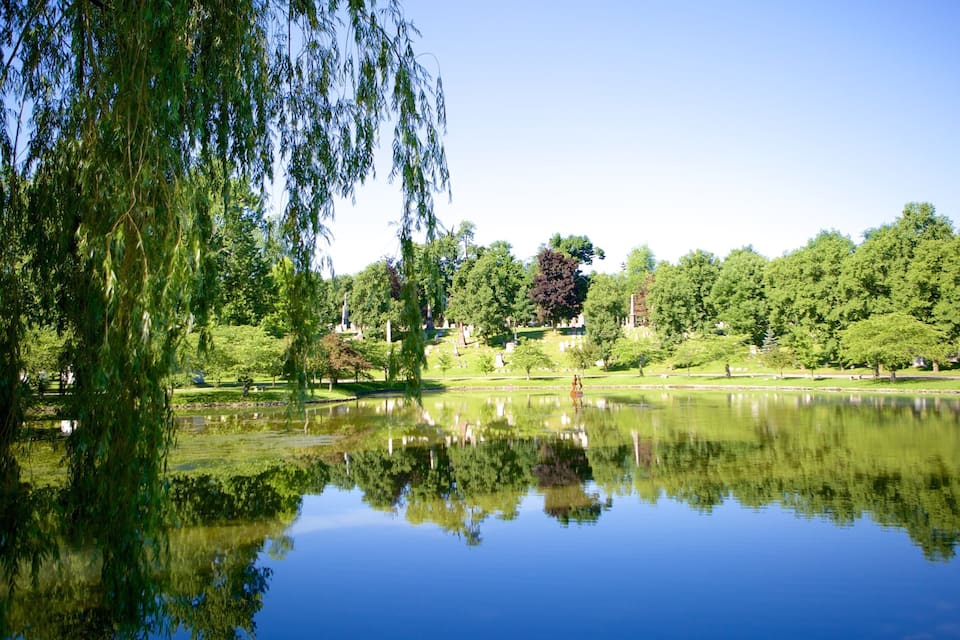 A serene park with a reflective pond, lush greenery, and a statue in the background.