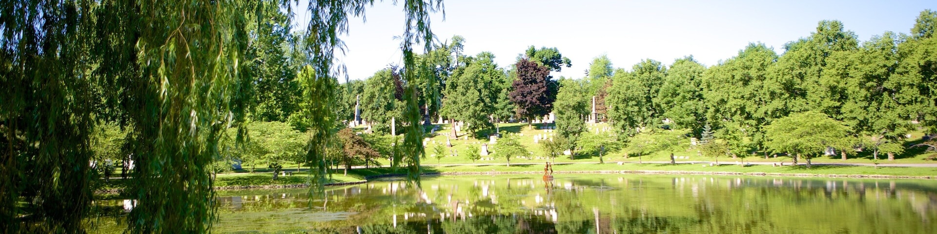 Forest Lawn Cemetery mostrando um lago ou charco