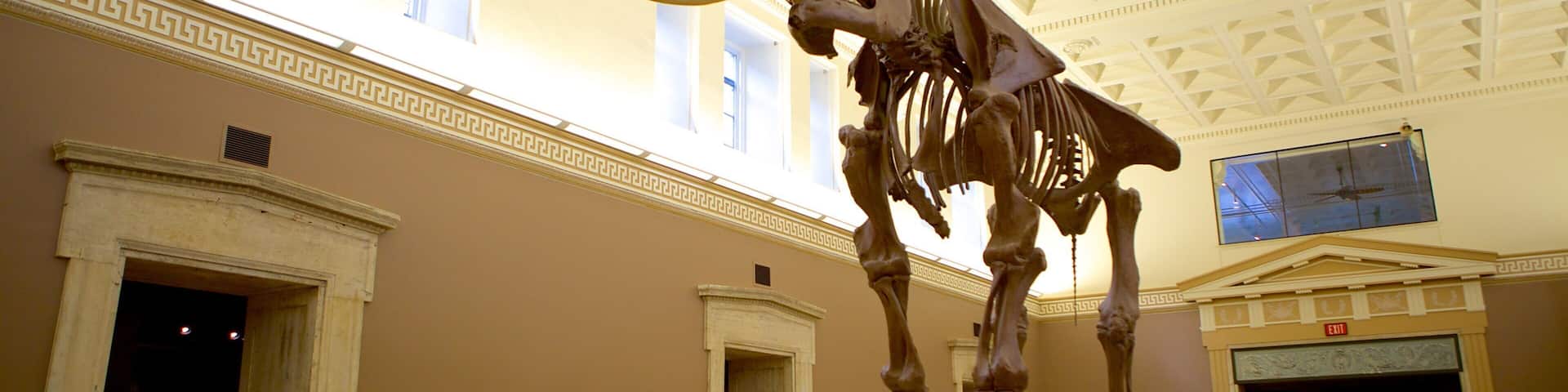 Buffalo Museum of Science showing interior views
