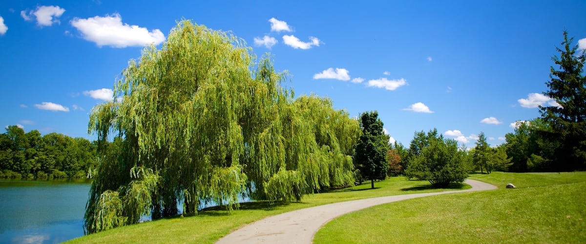 Delaware Park featuring a garden