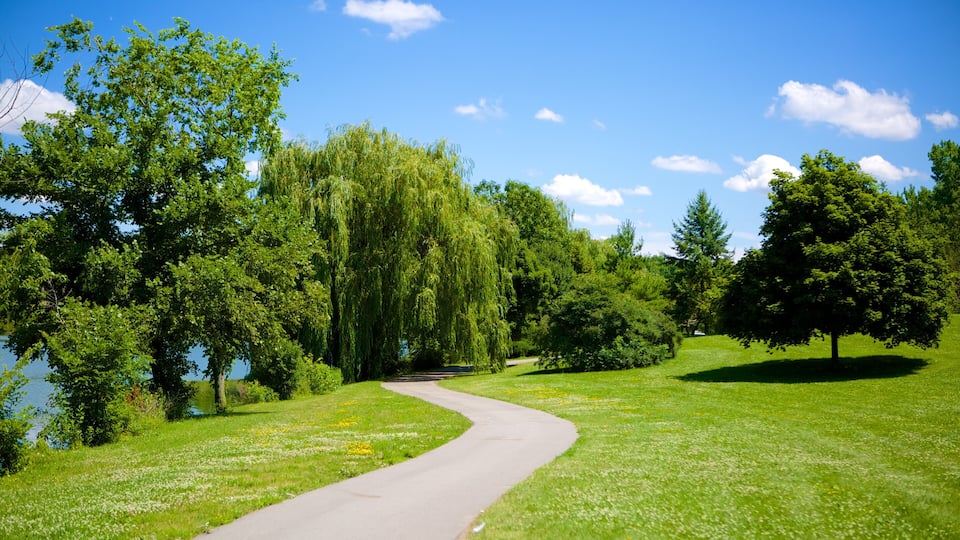 Delaware Park which includes a garden