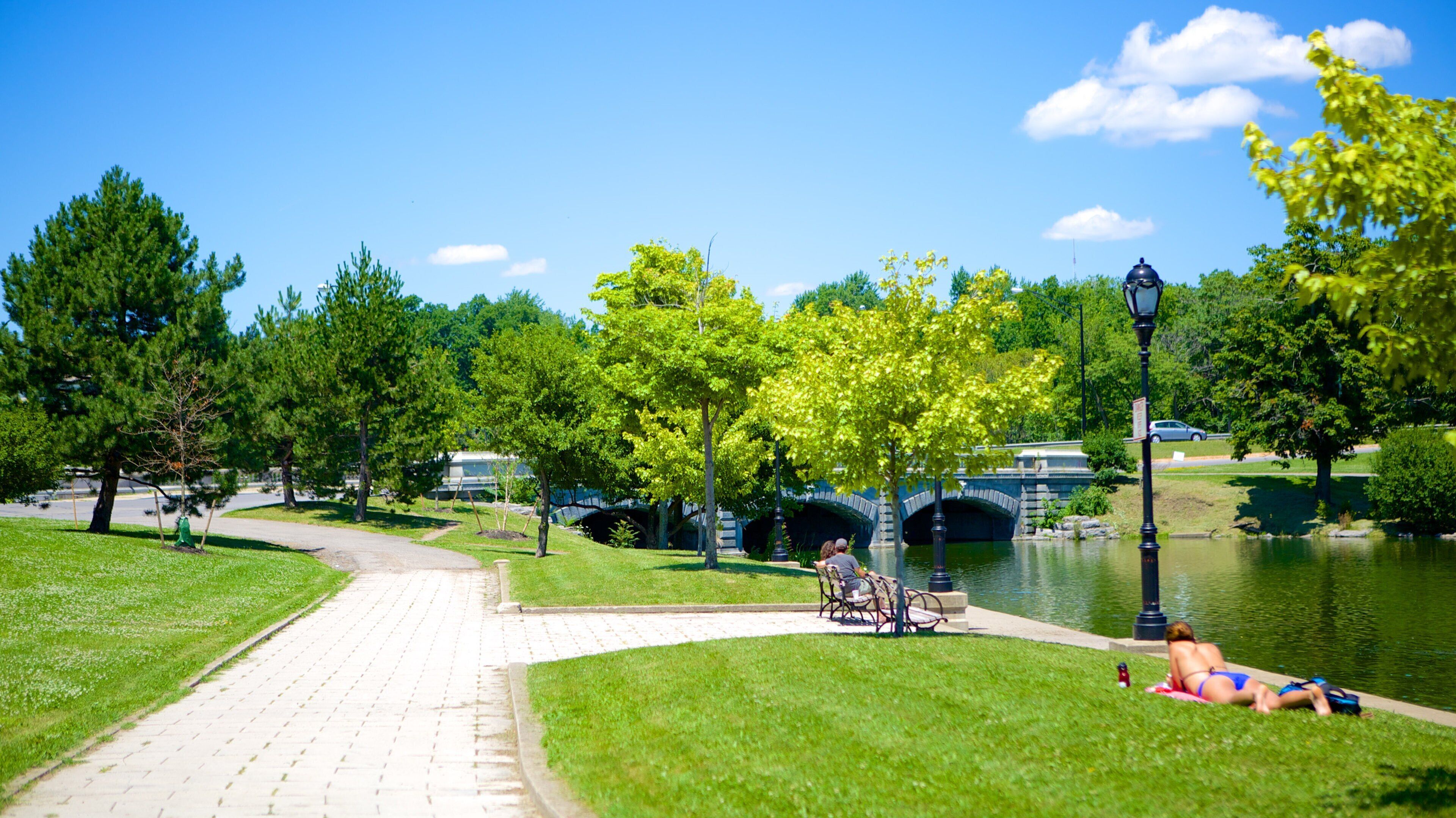 Delaware Park che include fiume o ruscello e parco