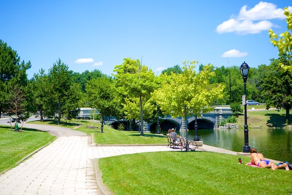 Delaware Park mit einem Fluss oder Bach und Park