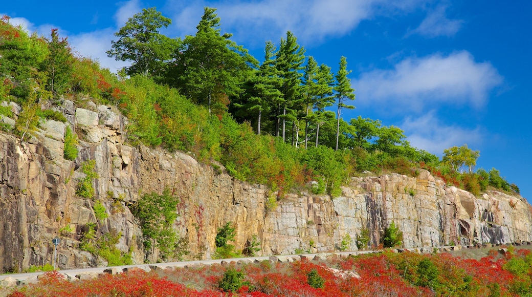 Hồ George cho thấy cảnh thanh bình