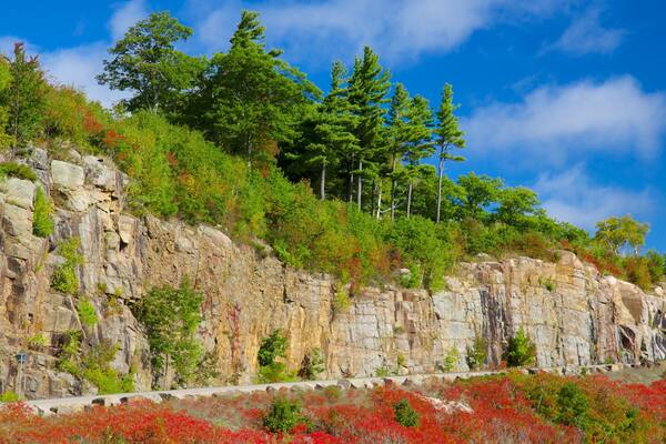 Lake George que incluye escenas tranquilas