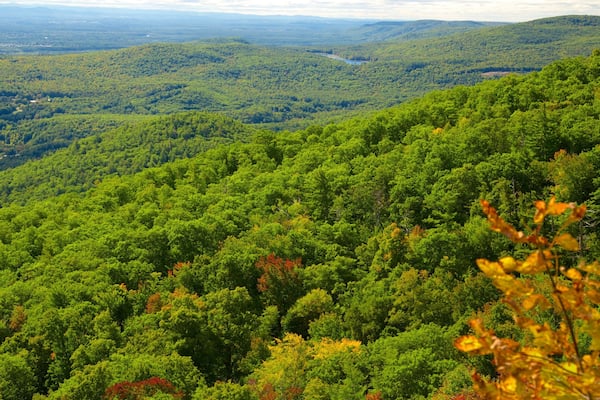Lake George featuring rauhalliset maisemat