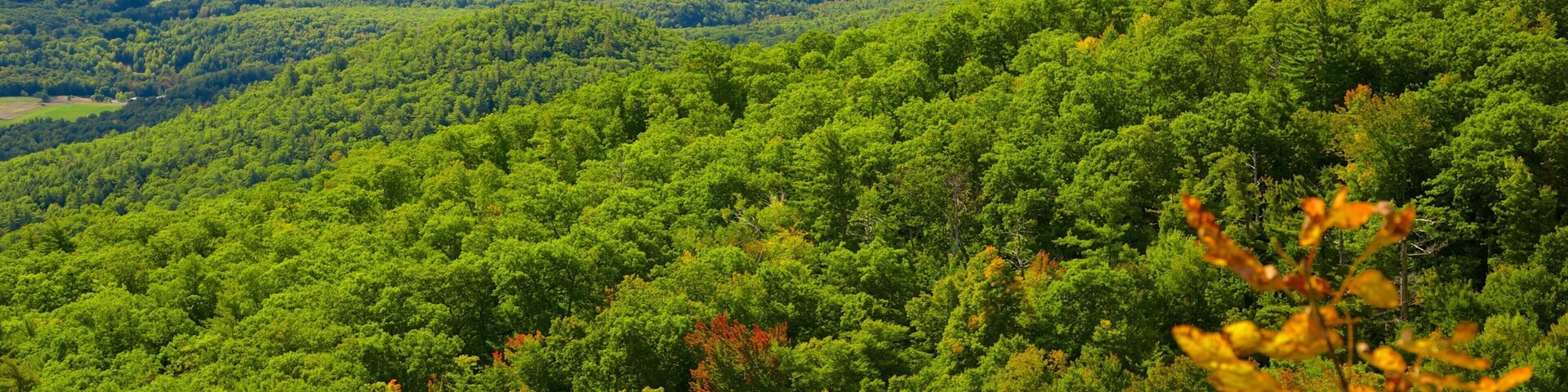 Lake George ofreciendo escenas tranquilas