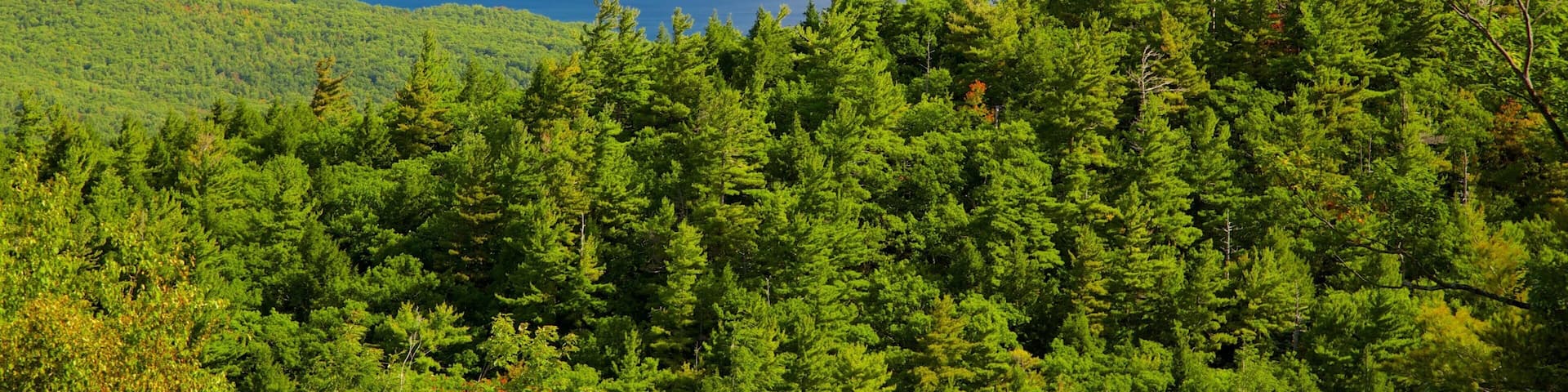 Lake George featuring tranquil scenes and a lake or waterhole