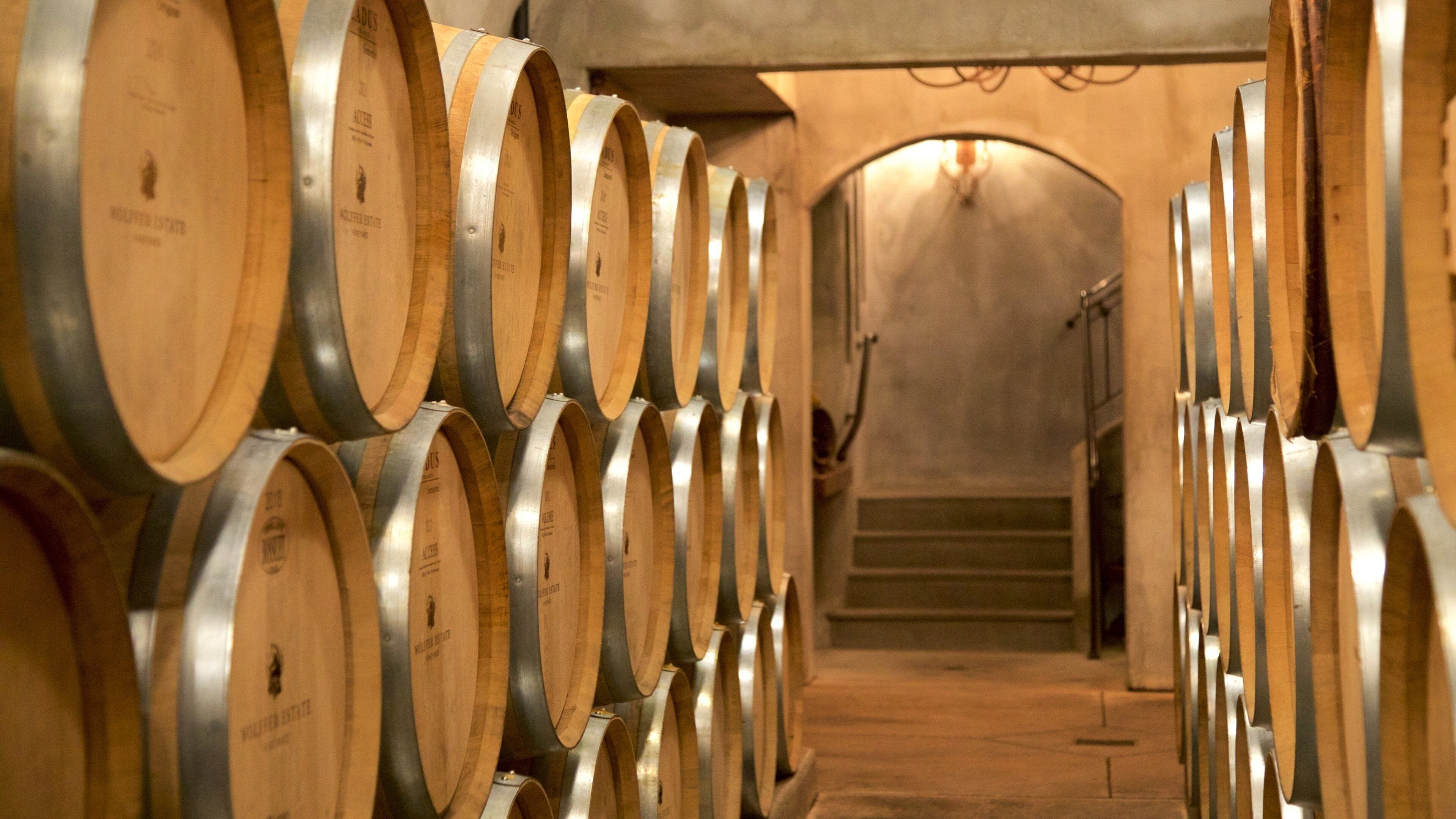 Wolffer Estates Vineyard