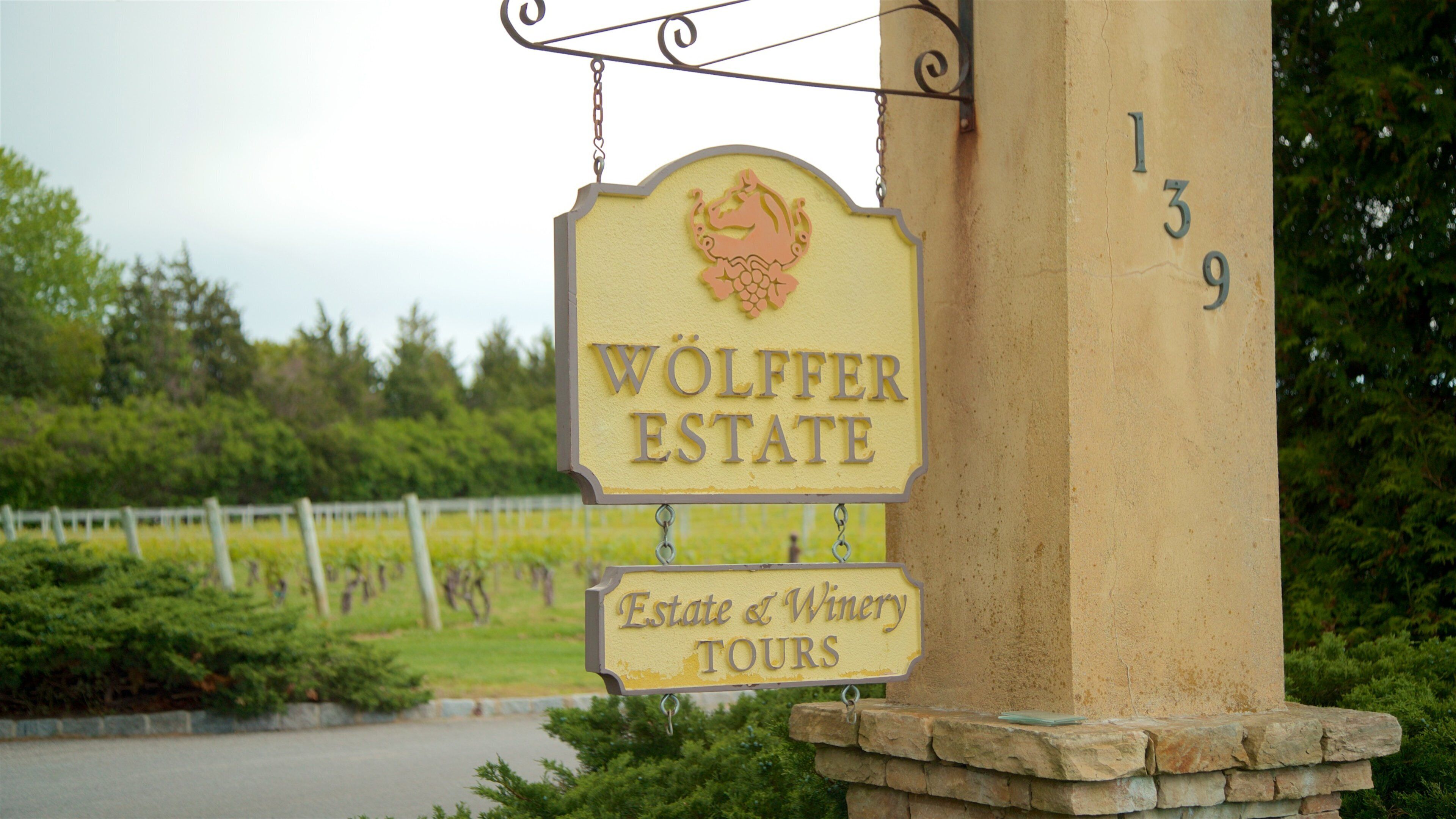 Wolffer Estates Vineyard