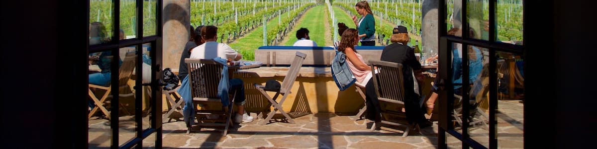 Wolffer Estates Vineyard