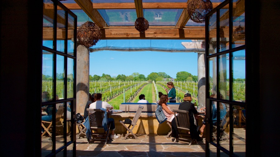 Wolffer Estates Vineyard