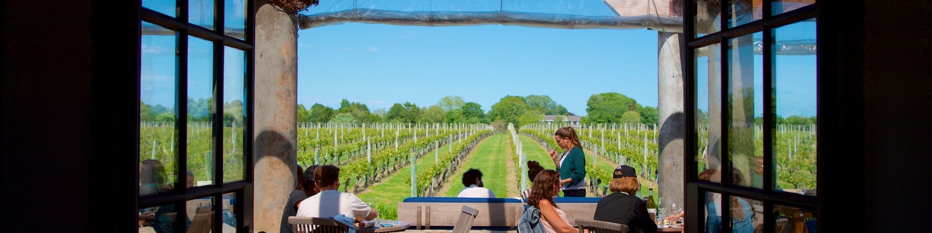 Wolffer Estates Vineyard