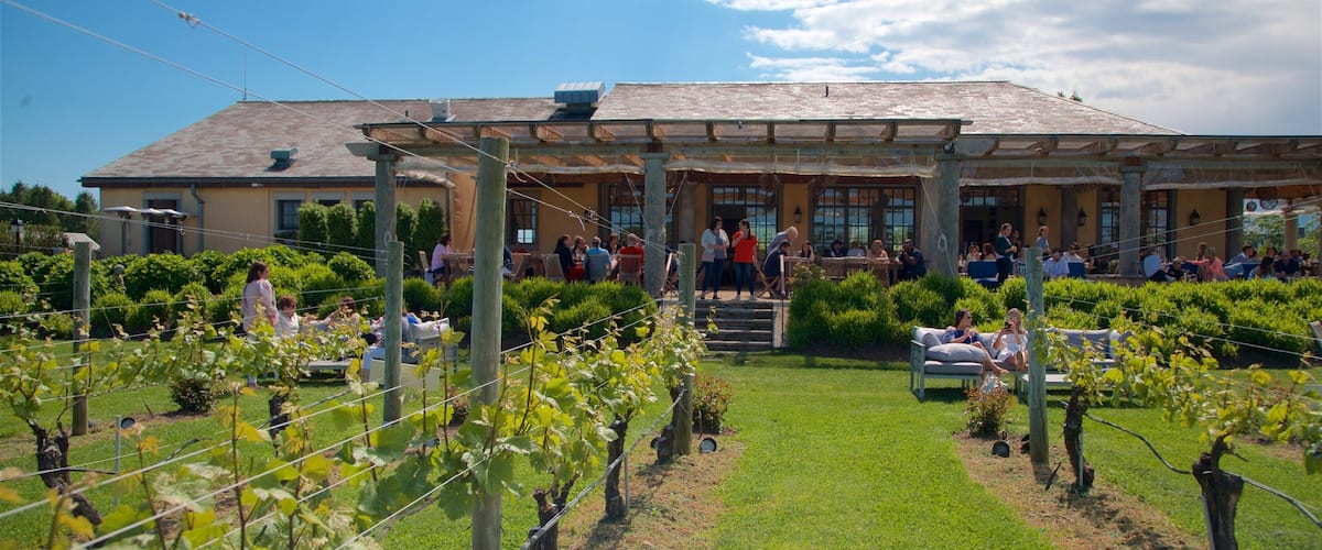 Wolffer Estates Vineyard