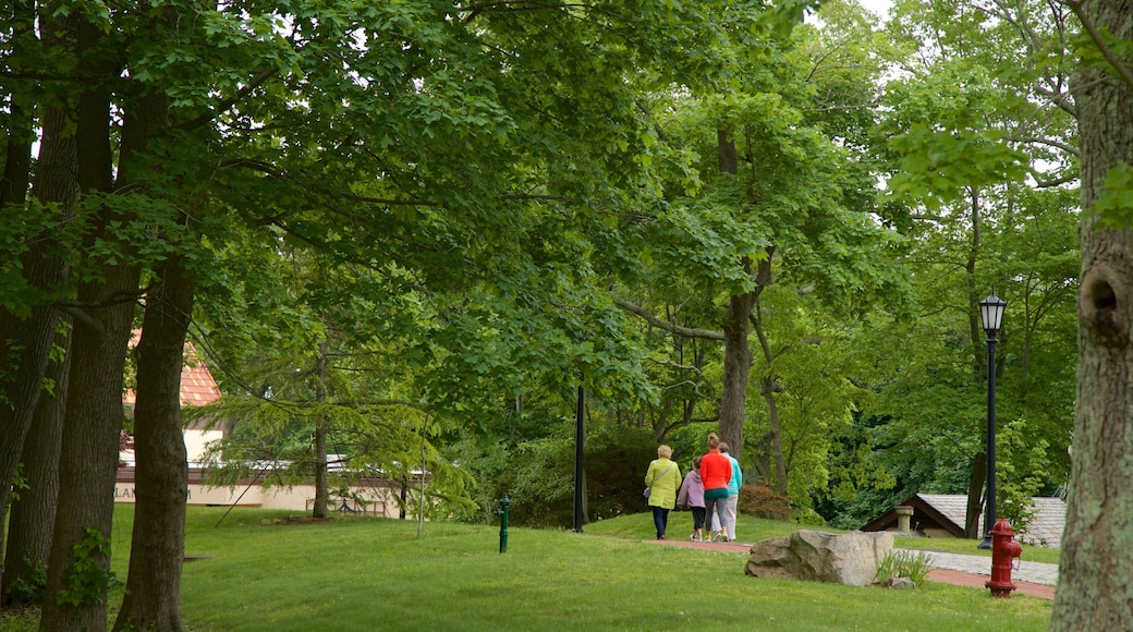 范德比尔特博物馆