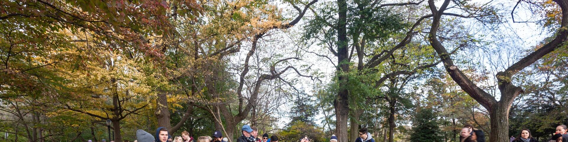Strawberry Fields featuring a garden as well as a small group of people
