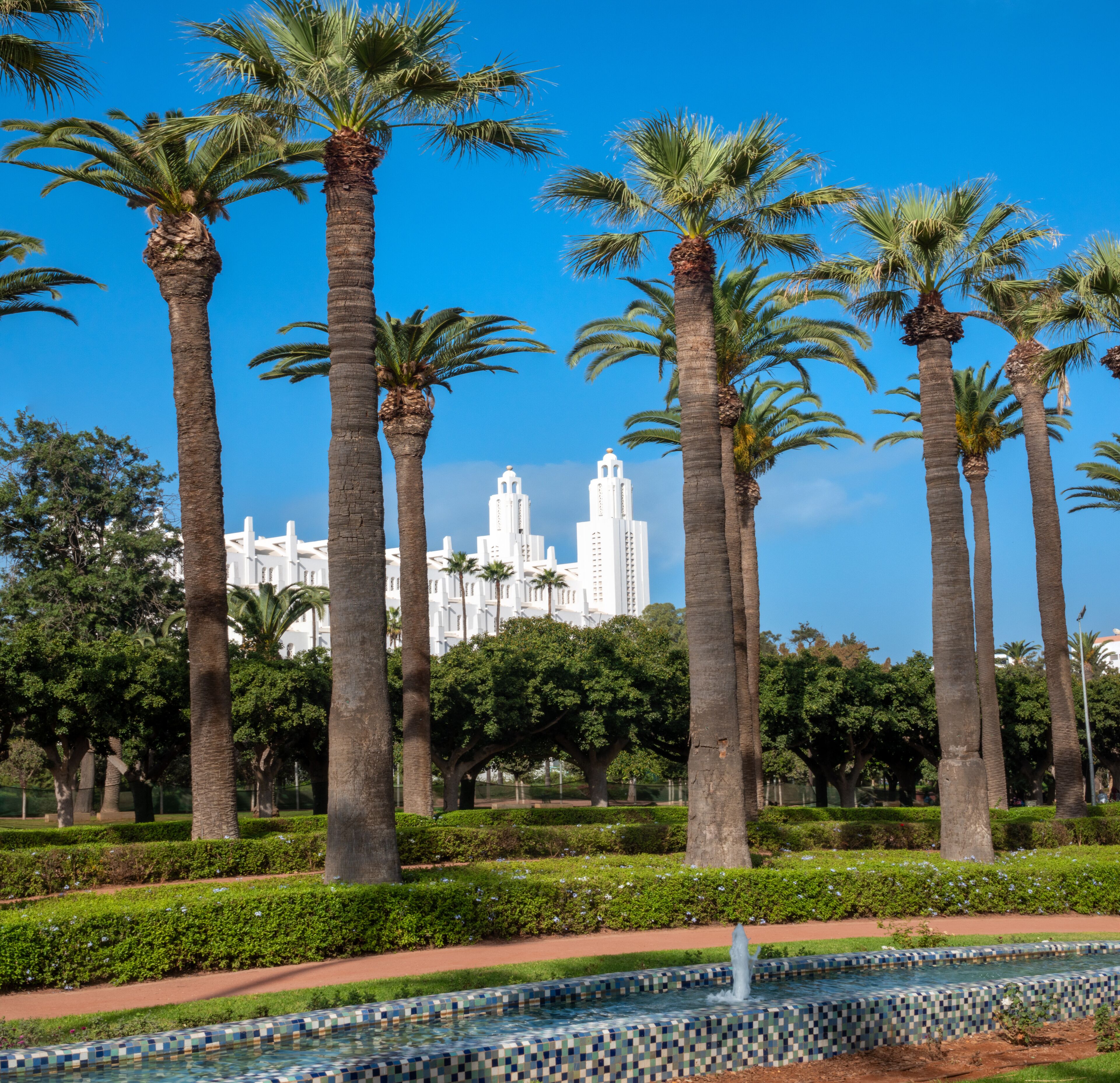 Beautiful row of palm tress in the Arab League Park of Casablanca with the imposing cathedral of the Holy Heart in the background. Casablanca, Morocco