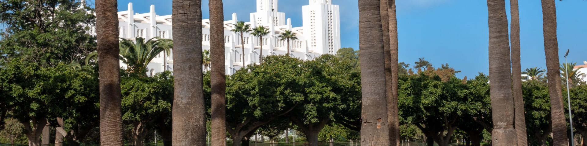 A park with tall palm trees, a fountain, and a distant white building.