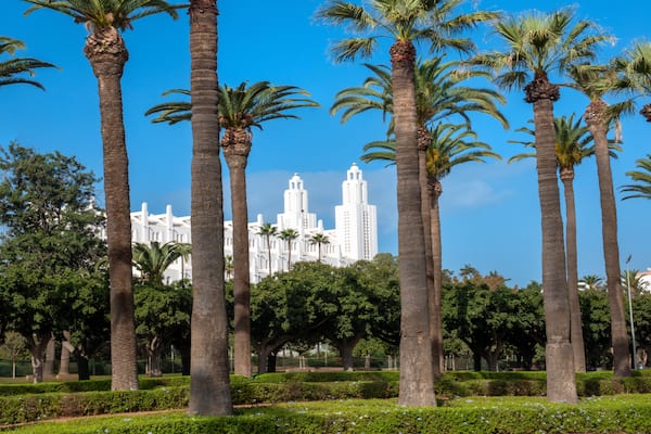 Beautiful row of palm tress in the Arab League Park of Casablanca with the imposing cathedral of the Holy Heart in the background. Casablanca, Morocco
