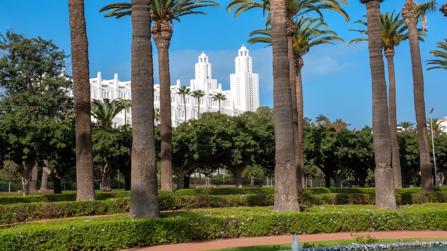 Beautiful row of palm tress in the Arab League Park of Casablanca with the imposing cathedral of the Holy Heart in the background. Casablanca, Morocco